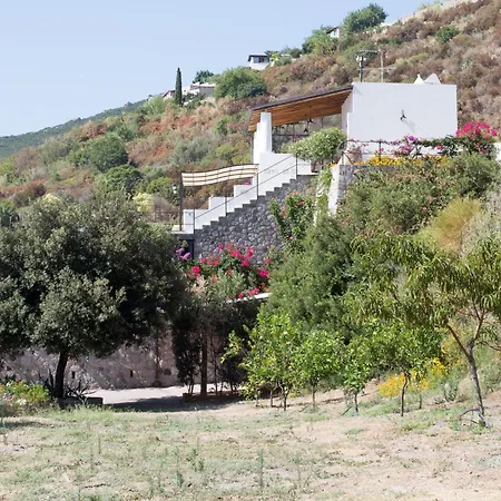 Cincotta- Agliozzo * 利帕里