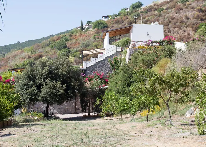 Cincotta- Agliozzo * 利帕里